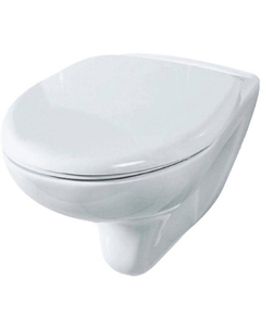 Унитаз Элеганс 4620008199115 подвесной с сиденьем Микролифт Rosa