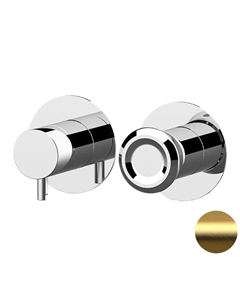 Смеситель для душа Element ET93ZPBG цвет Золото брашированное Remer