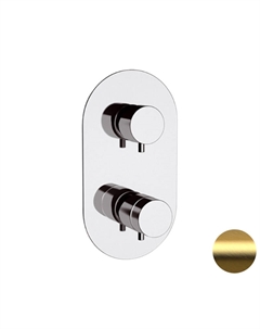 Смеситель для душа Elegance NT92BG с термостатом цвет Золото брашированное Remer