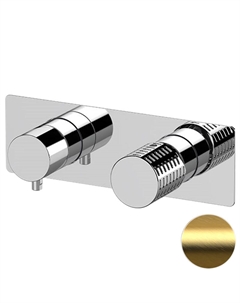 Смеситель для душа Celebrity CEC93ZWBBG цвет Золото брашированное Remer