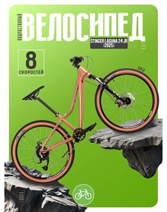 Подростковый велосипед Laguna 24 JR, год 2025, цвет Коричневый Stinger