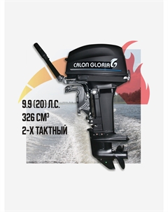 Лодочный мотор двухтактный T9.9BS MAX (20л.с.) Черный, Черный Calon gloria