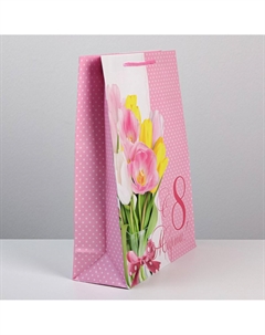 Пакет подарочный ламинированный, упаковка Доступные радости