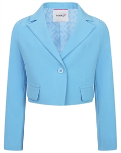 Жакет Pinko