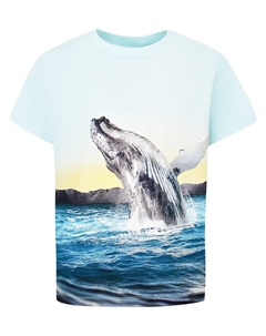 Футболка Molo