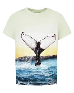 Футболка Molo