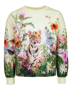 Лонгслив Molo