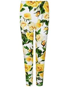 Леггинсы Dolce&gabbana