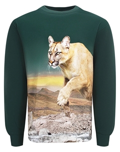 Лонгслив Molo