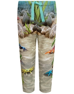 Леггинсы Molo