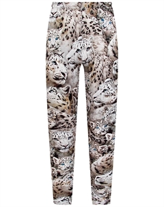 Леггинсы Molo