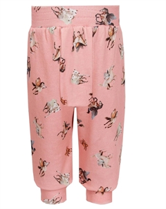 Брюки спортивные Molo