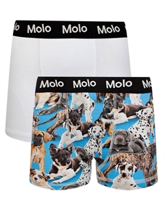 Трусы Molo