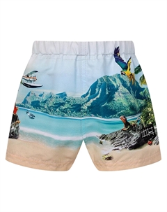 Шорты пляжные Molo