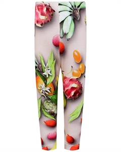 Леггинсы Molo