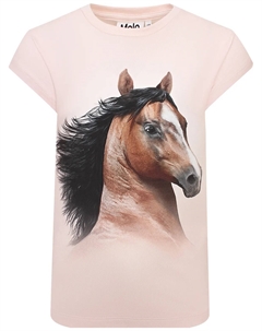 Футболка Molo