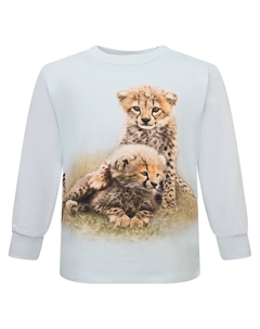 Лонгслив Molo