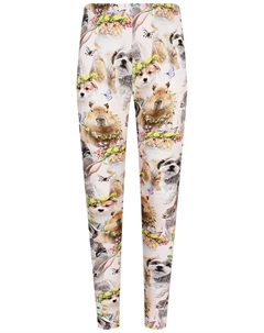 Леггинсы Molo