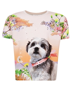 Футболка Molo