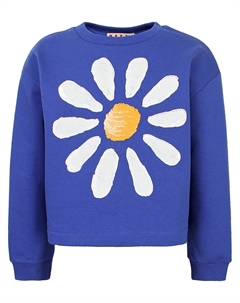 Свитшот Marni