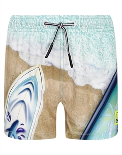 Шорты пляжные Molo