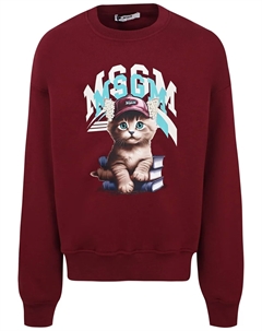 Свитшот Msgm