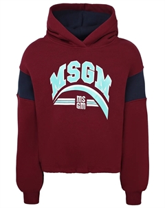 Худи Msgm