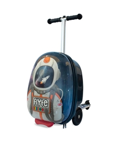 Чемодан Zinc flyte