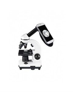 Микроскоп Junior Biolux SEL 40–1600x, белый, в кейсе Bresser