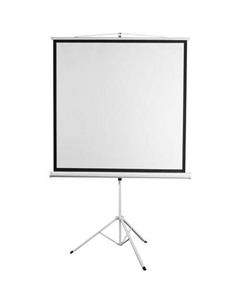 Экран Kontur-D DSKD-4304, 248х189 см, 4:3, напольный Digis