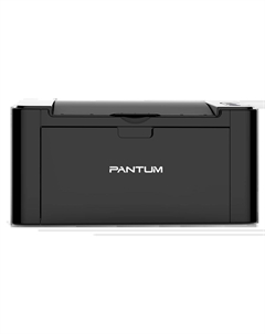 Принтер лазерный P2207 (P2207) PI Pantum