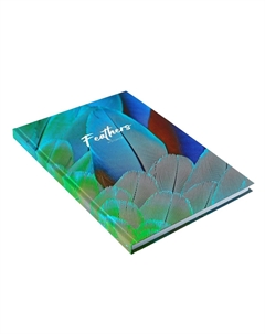 Колледж-тетрадь top Calligrata