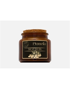 Ароматическая свеча Day at the spa 105 мл Plamelia