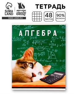 Тетрадь в клетку, предметная, 48 л., на скрепке, а5 Artfox study