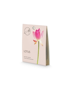 Ароматическое саше Spring Hoff