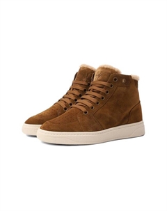 Замшевые кеды Gz94 Giuseppe zanotti design