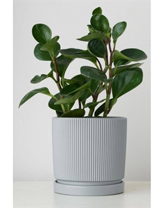 Кашпо керамическое с блюдцем Рельеф Mandarin decor