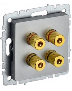 Розетка аудио BR-S40-K46 BRITE РА10-БрС Сталь Iek