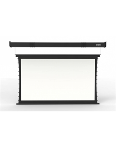 Экран для проектора рулонный Altitude DSTA-16913, настенно-потолочный моторизированный, 135" 16:9 314x188 MW, ПДУ (DSTA-16913) Digis