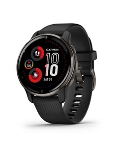 Смарт-часы Garmin Venu 2 Plus Slate (010-02496-11)