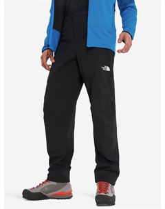 Брюки мужские Alpine Ridge, Черный The north face