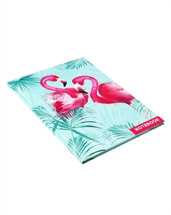 Колледж-тетрадь top Calligrata