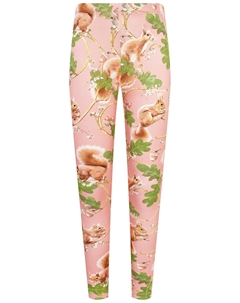 Леггинсы Molo