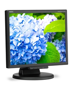 Sharp MultiSync E172M-BK 17" 5:4 TN-монитор
