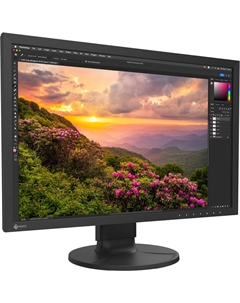 Монитор EIZO ColorEdge CS2400S 24,1 дюйма Eizo