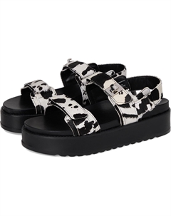 Сандалии Bigmona, цвет Cow Print Steve madden