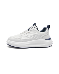 Мужские низкие скейтбордские кроссовки бело-синие, цвет White Blue Hla