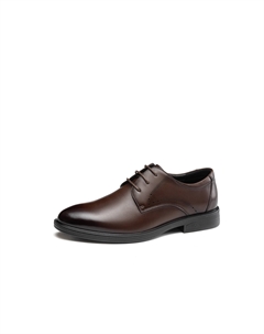 Коричневые мужские туфли на низком ходу, цвет Brown 1253111013B Aokang