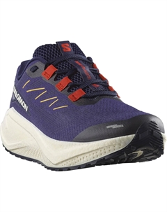 Aero Blaze 3 GRVL Дорожные кроссовки для бега - Мужские, Astral Aura/Maritime Blue/Red Salomon