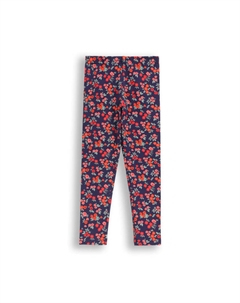 Леггинсы, красочный Coccodrillo